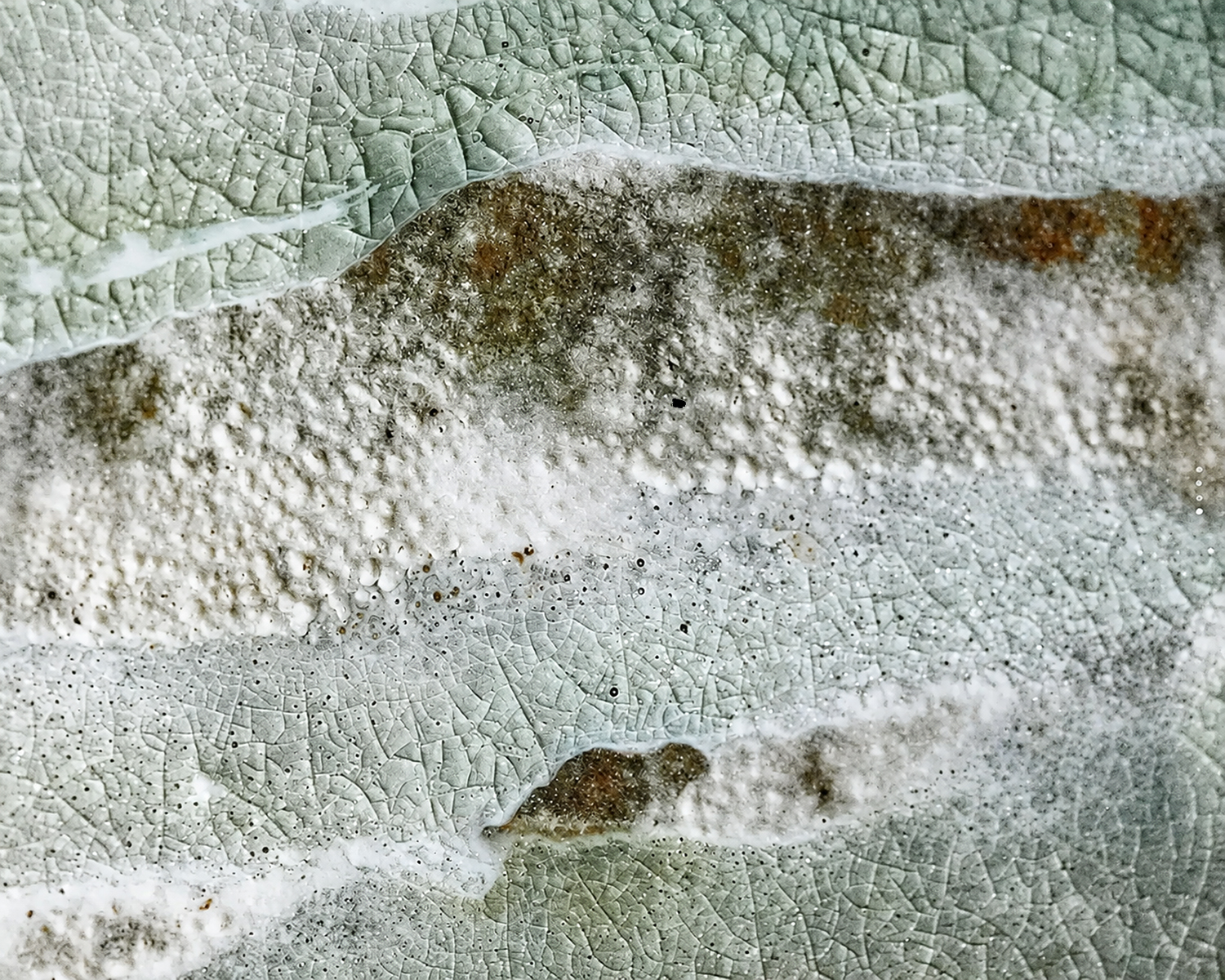 Details of enamels on my ceramic sculpture