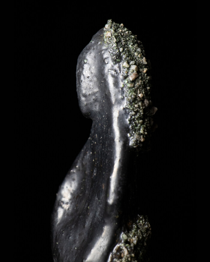 FLOWER – Image 4