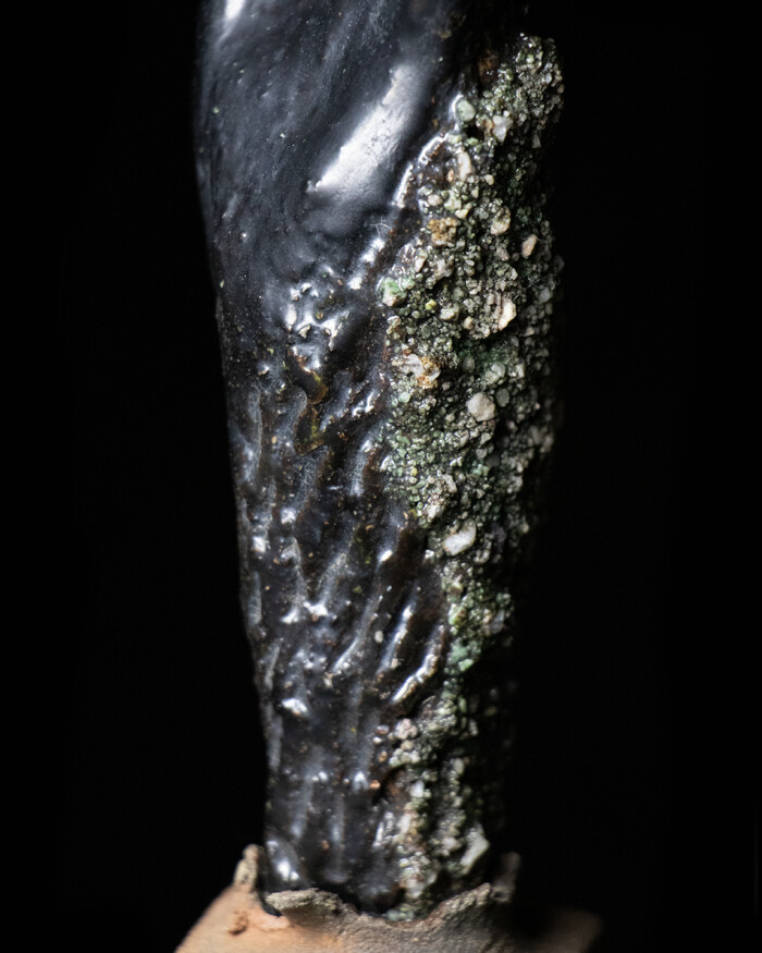 FLOWER – Image 5