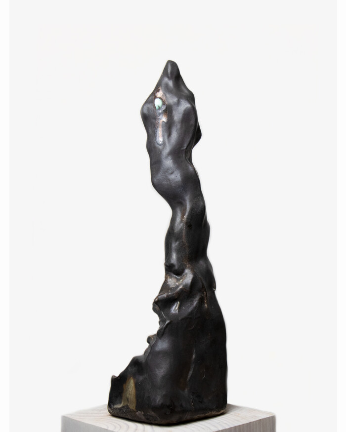 ASCENSION – Image 7