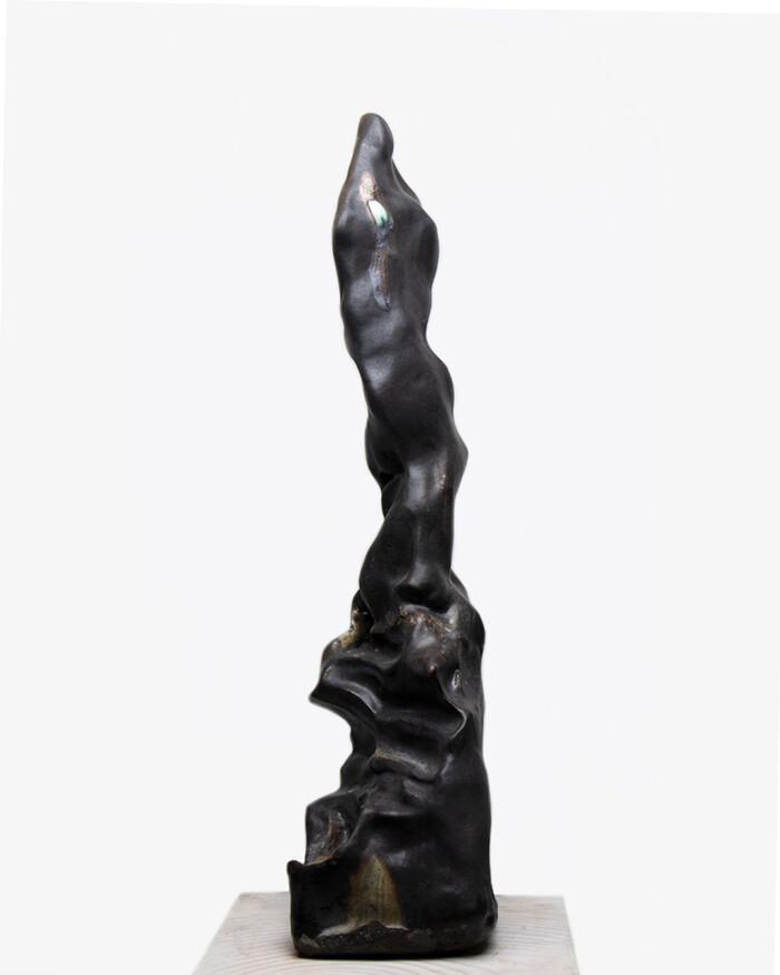 ASCENSION – Image 6