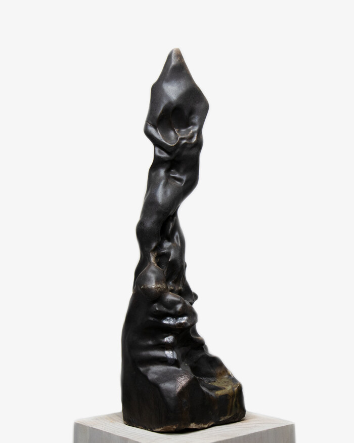 ASCENSION – Image 4