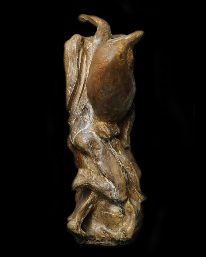 APPAREANCES – Image 3