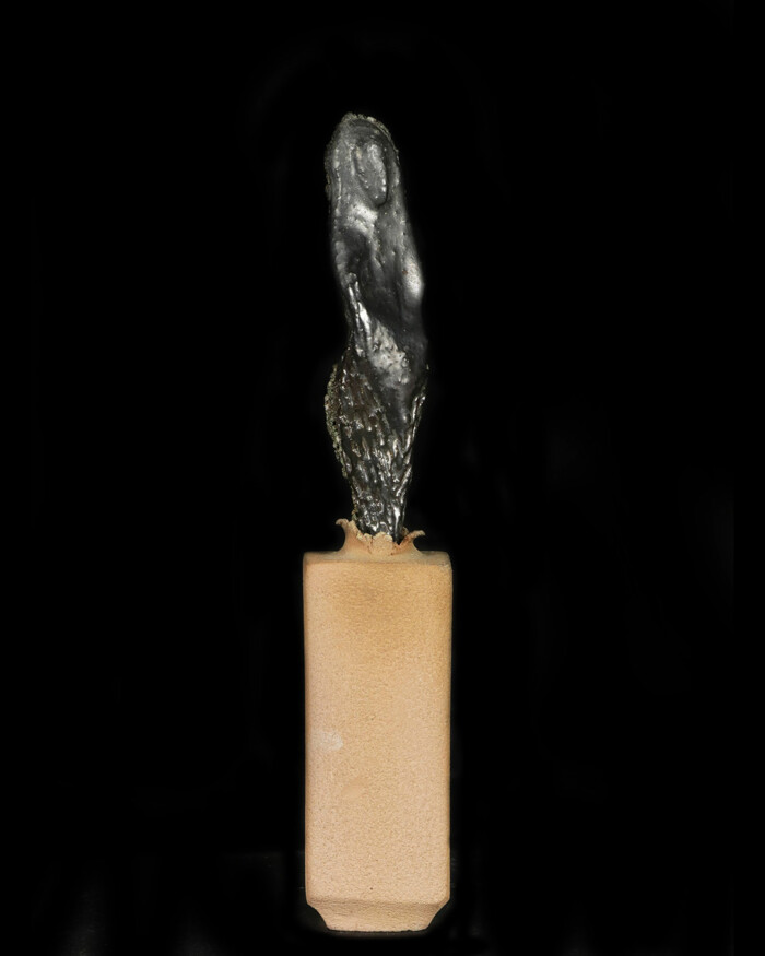 FLOWER – Image 6