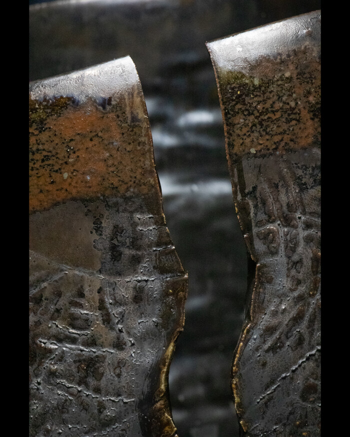 CONSCIOUSNESS – Image 3